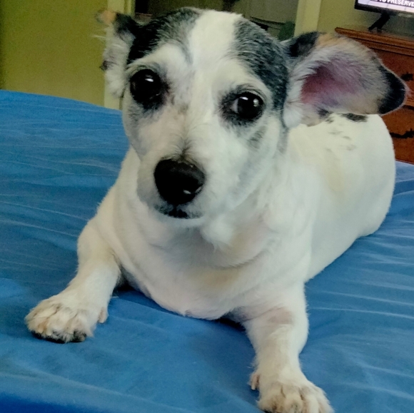 Meet your Posher, Ewa - Picture 3 of 16